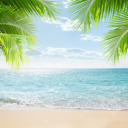 Beachy's Beachy – r2backdrops