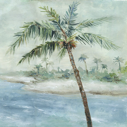 Tropics - Mis-Print Special Pricing (Perfect)