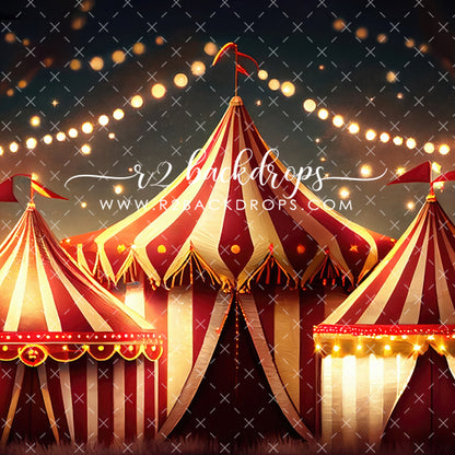 Night at the Circus