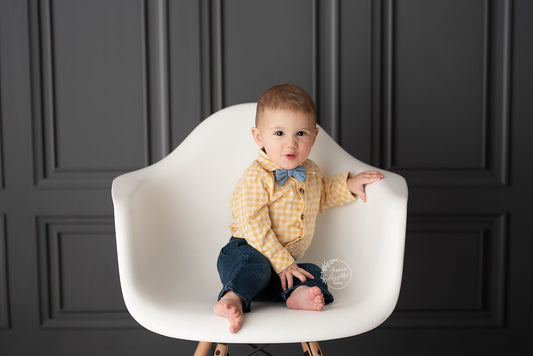 Gray Wainscoting - Special Fabric Pricing